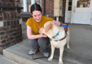 Accessibility beyond compliance